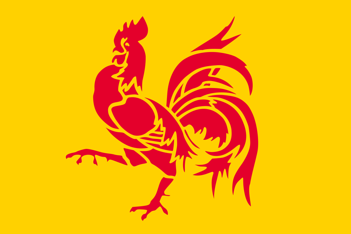Le drapeau de la Wallonie Le drapeau de la Wallonie