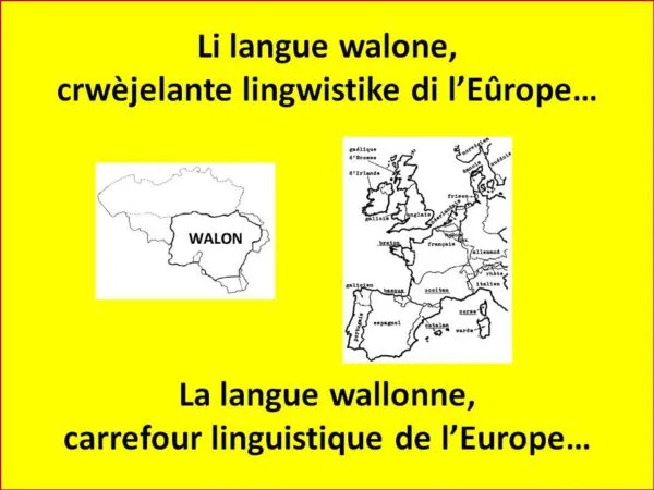 La langue wallonne et ses voisins européens La langue wallonne et ses voisins européens