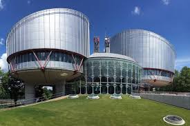 La Cour européenne des Droits de l'Homme La Cour européenne des Droits de l'Homme