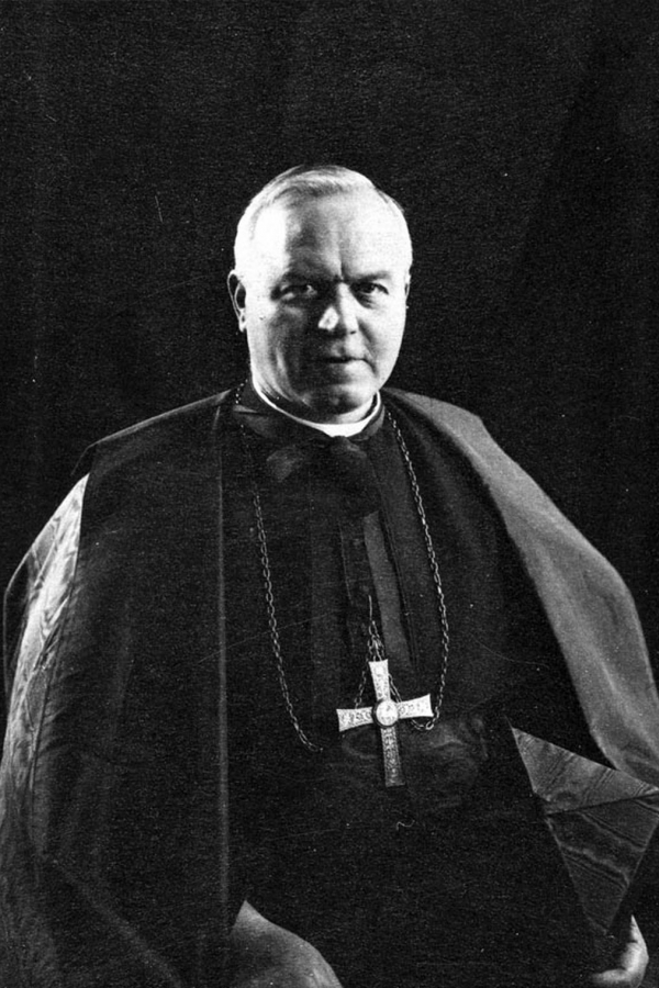 Le Cardinal Van Roey 